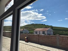 -乌兰布统景区-白桦林