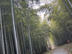 -求雨山文化公园