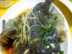 清蒸老虎斑-明记海鲜美食老字号(明记总店)