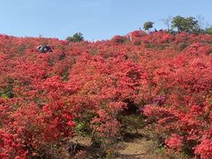 -瑞安圣井山景区