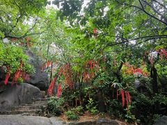 -云洞岩风景区
