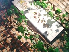 -湘邻呷铺·田园家宴(汉基广场店)