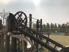 -上海长兴岛郊野公园