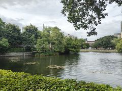 -荔湾湖公园