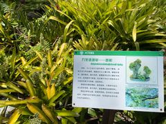 -中国科学院西双版纳热带植物园