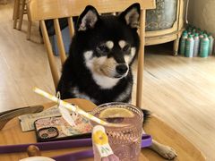 -柴の食堂·日式家庭料理·熊之肆(大学路店)
