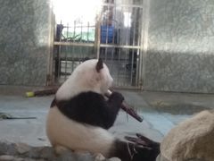 -西安秦岭野生动物园