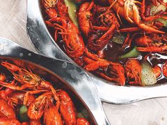 -苏州藏书羊肉(田东路店)