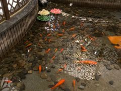 -南山饭店(阳明古镇店)