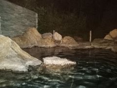 -大连大和馆观山阁温泉酒店