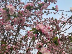 -元大都城垣遗址公园