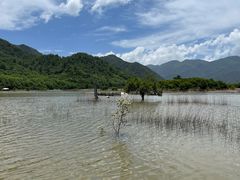 -大九湖