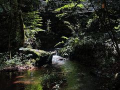-昆明青龙峡风景区