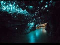 -怀托摩萤火虫洞