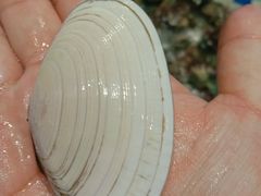 -青石桥市场北1-27号