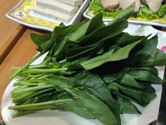 -芦月轩羊蝎子(劲松店)