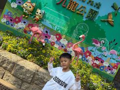 -九龙公园