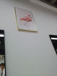 -ASA HAIR SALON