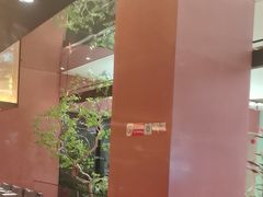 -大神太神·铁板烧(七宝领展广场店)