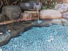 -厦门日月谷温泉渡假村