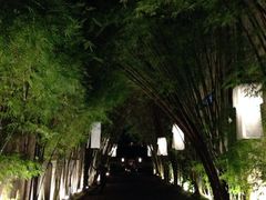 iphone_upload_pic-罗望子村酒店