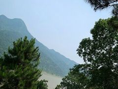 -羚羊峡古栈道森林公园