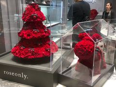 -ROSEONLY诺誓(广州K11店)