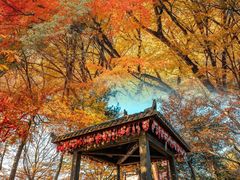-光雾山旅游景区