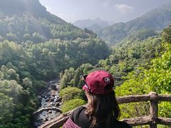 -石台牯牛降景区