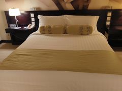 -国家会议中心大酒店