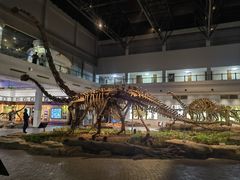 -自贡恐龙博物馆
