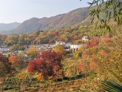 -塔川景区