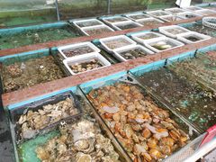 水产区-景好海鲜餐厅(大鹏必选旅游店)