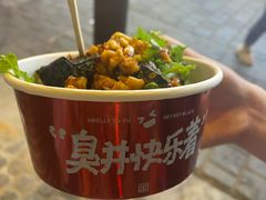 -黑色经典臭豆腐·湖南特产(步行街店)