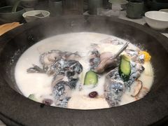 鲜潭蒸汽石锅江团鱼-鲜潭蒸汽石锅鱼(五道口购物中心店)