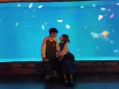 -华夏文旅海洋公园