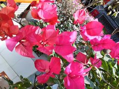 -瓦房食代·四合院湘菜馆(坂田店)
