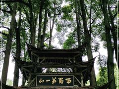-青城山