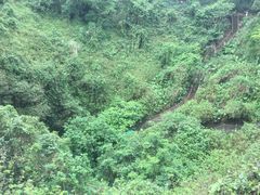 -海口火山口国家地质公园