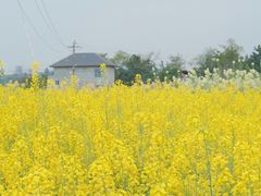 -全季酒店(重庆上清寺牛角沱地铁站店)