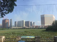 -龙环葡韵住宅式博物馆