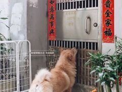 -同记鸡粥粉面店