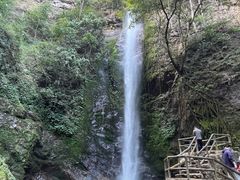 -莫里热带雨林景区