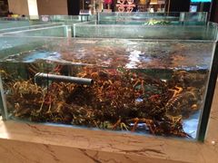 iphone_upload_pic-旺顺阁海鲜广场(亚运村店)