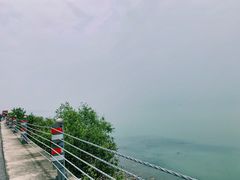 -美味之家·湖景农家乐(太湖东山店)