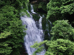 -碧峰峡风景区