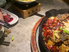 -老板恋上鱼(恒隆广场店)