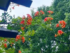 -白马涧龙池景区