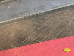 -内蒙古牛羊肉特色美食(后海滨路店)