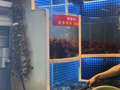 -指爱龙虾(金杨路总店)